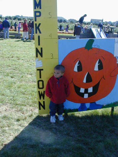 1X070021s.JPG - 54.5 K