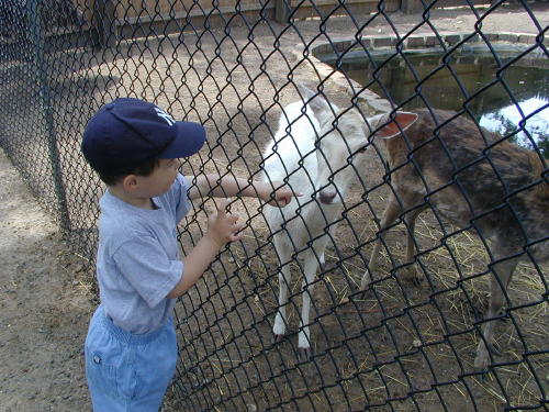 25270027s.JPG - 52.7 K