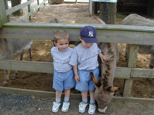 25270034s.JPG - 52.7 K