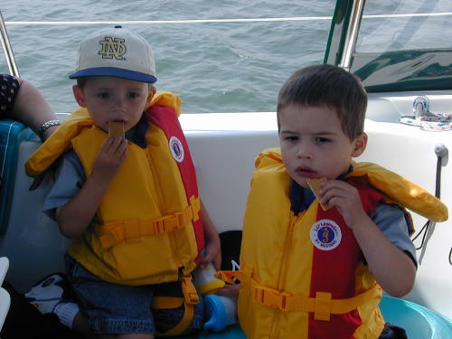 26010021s.JPG - 44.6 K