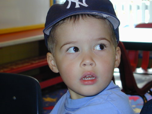 27260093s.JPG - 38.2 K