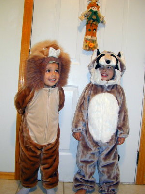 2X300036s.JPG - 38.7 K