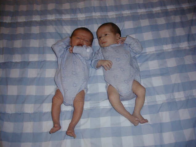 2bed03s.jpg - 27.5 K