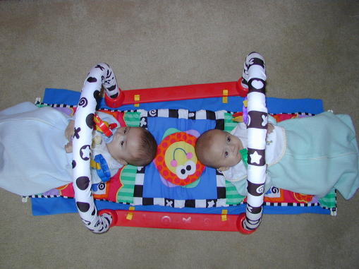 00-0123-pkgym1s.jpg - 42.2 K