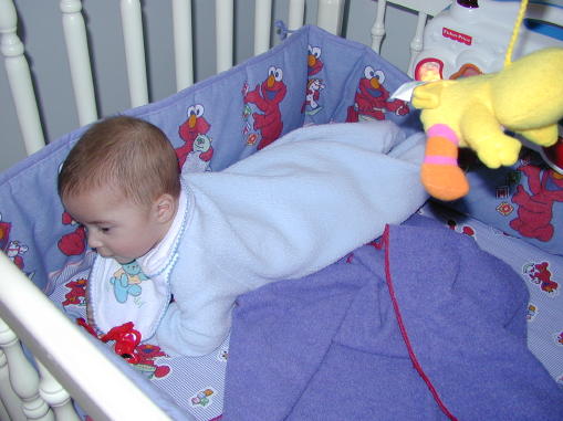 00-0130-kcrib3s.jpg - 43.3 K