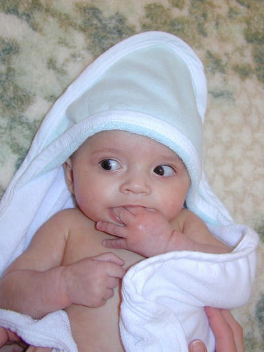 00-0215-pbath2s.jpg - 33.7 K