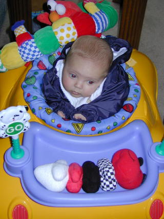 00-0325-kylebugs.jpg - 39.6 K